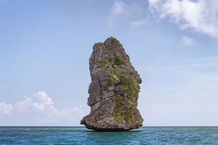 三月越南五日游:探索越南的精彩之旅 三月越南五日游:探索越南的精彩之旅