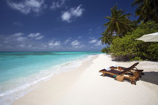 一月马尔代夫六日游，完美选择！