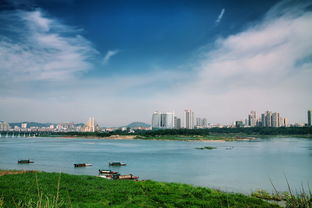 二月西雅图自驾游:探索雨城的魅力与美景 二月西雅图自驾游:探索雨城的魅力与美景