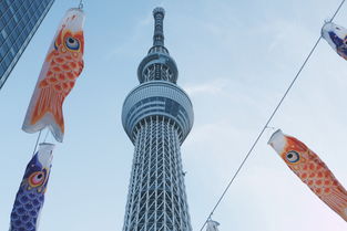 二月东京自由行，探索最佳旅游景点