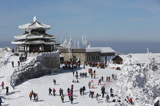 二月捷克旅游攻略:探索冬日魅力,畅享浪漫古城之旅 二月捷克旅游攻略:探索冬日魅力,畅享浪漫古城之旅