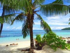 二月塞班岛旅游，哪个景点最佳？