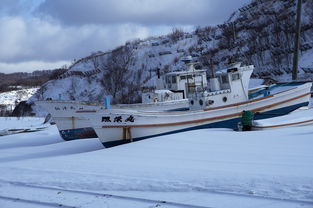 二月札幌五日游:雪中探险,冰雪奇缘尽情畅玩! 二月札幌五日游:雪中探险,冰雪奇缘尽情畅玩!