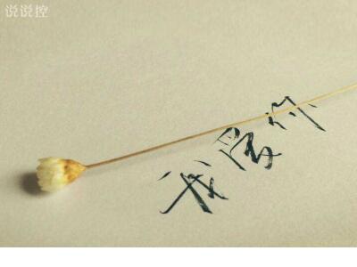 真小人伪君子经典句子笑傲江湖