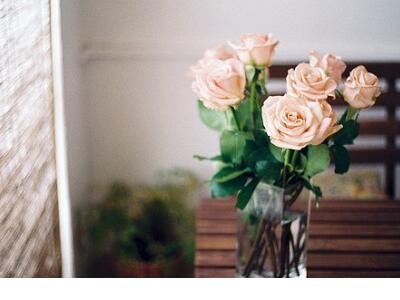 爱情幸福语录短句子