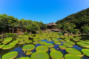 四月沙美岛六日游注意事项，让你旅行更顺心