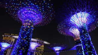 四月新加坡自由行攻略：探索狮城的绝佳时机