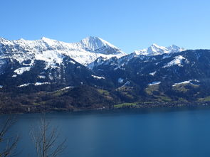 四月瑞士旅游，玩得尽兴！