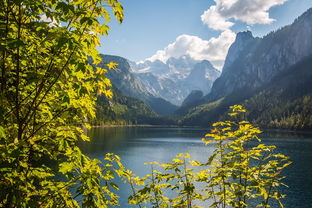 奥地利八月自由行:山川湖泊间的绝美之旅! 奥地利八月自由行:山川湖泊间的绝美之旅!