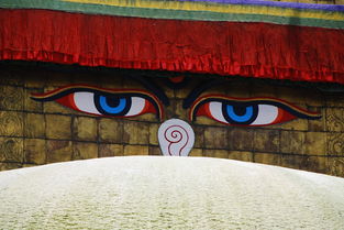 七月土耳其五日游攻略:探索古老文化,品味美食之旅! 七月土耳其五日游攻略:探索古老文化,品味美食之旅!
