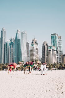 迪拜五日游，探索++奇迹！