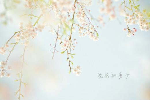 不再迷失自己的句子