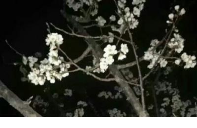 爱情最好的状态句子