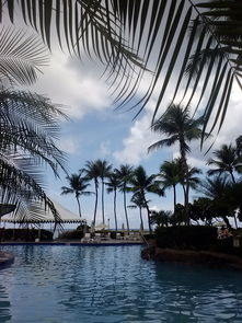 夏威夷七月自由行：探索热带天堂，尽享海岛风情！