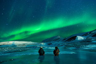 四月阿拉斯加自由行：探索北极美景，尽享独特冒险之旅！
