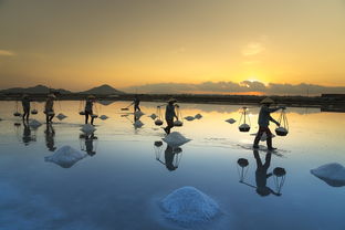 芽庄八月旅游:海滩狂欢与水上乐园尽情畅玩! 芽庄八月旅游:海滩狂欢与水上乐园尽情畅玩!