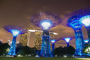 新加坡六日游攻略：探索狮城的魅力，尽享六月份的美妙时光