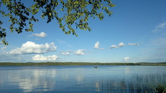 芬兰夏日探索：七月份的六日游，尽享北欧风情！