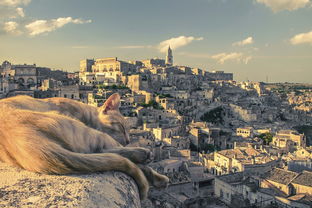 四月赞比亚七日游,探索非洲之美 四月赞比亚七日游,探索非洲之美