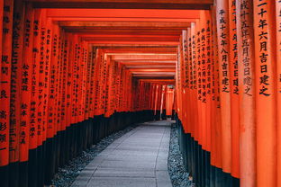 奈良八月自由行攻略：探索古都的神秘庙宇，品味美食之旅！