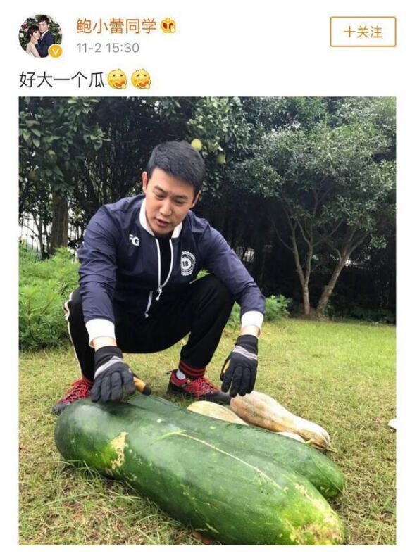 鲍蕾素颜其实长得丑图,陆毅鲍蕾因范冰冰差点分手是咋回事? 本文共(980字)