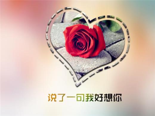 一个没人疼没人爱的伤感说说