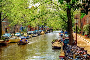 四月荷兰旅游推荐:花海盛宴,尽享绚烂春光! 四月荷兰旅游推荐:花海盛宴,尽享绚烂春光!