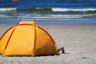 四月迈阿密自由行：海滩狂欢与阳光沐浴之旅