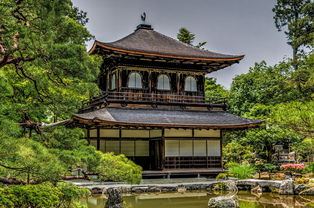 五月京都,花与古城的邂逅 五月京都,花与古城的邂逅