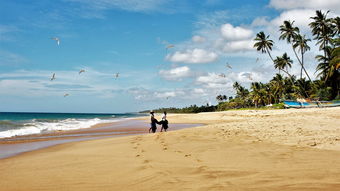 六月份塞舌尔旅游哪个好？海滩度假胜地或自然保护区，你更喜欢哪一个？