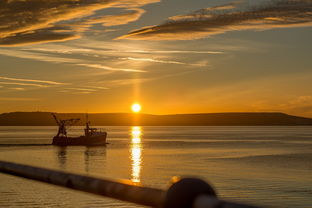 四月迈阿密五日游:畅享阳光海滩与无尽乐趣! 四月迈阿密五日游:畅享阳光海滩与无尽乐趣!