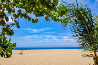 五月塞舌尔五日游攻略：美不胜收的热带天堂，尽情享受海滩与自然之美！