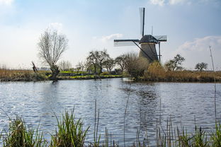四月荷兰五日游：花海与风车的绝美邂逅