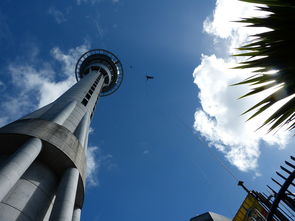 奥克兰五日游推荐：探索新西兰最美的城市，尽享自然与文化的魅力！