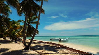 巴厘岛七日游攻略：探索热带天堂，尽享海滩与文化