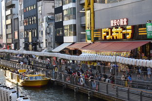 六月东京自驾游攻略:探索城市繁华与自然美景,尽享夏日之旅! 六月东京自驾游攻略:探索城市繁华与自然美景,尽享夏日之旅!