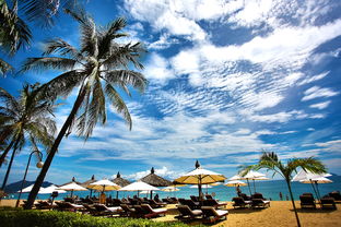 巴厘岛六日游推荐：探索热带天堂，尽享无尽乐趣！