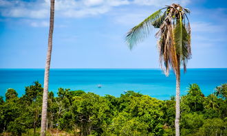 六月份苏梅岛酒店推荐：享受海滩度假的绝佳选择！