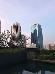 六月份曼谷自驾游，发现城市独特魅力！