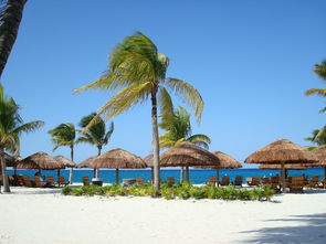 夏威夷六日游，探索美丽热带天堂