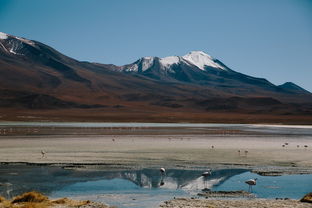 四月瑞典自驾游:探索最佳旅行目的地 四月瑞典自驾游:探索最佳旅行目的地