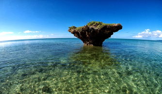 六月份宿务自驾游合适吗？探索菲律宾最美的海滩和岛屿！