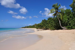 六月普吉岛自驾游攻略：探索热带海滩，尽享夏日乐趣！