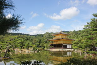 六月京都,探寻古韵与自然之美 六月京都,探寻古韵与自然之美