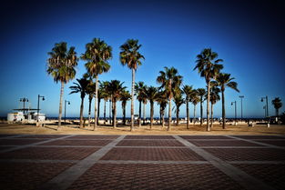六月西班牙酒店费用：享受阳光海滩的经济之选！