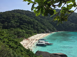 二月泰国五日游，最佳选择！