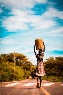 六月肯尼亚自由行：探索非洲之美！