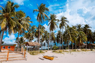 四月兰卡威七日游攻略：探索这个热带天堂的绝佳时机