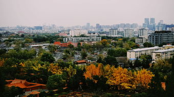 八月份苏黎世旅游攻略:独特的魅力,等你来探索! 八月份苏黎世旅游攻略:独特的魅力,等你来探索!