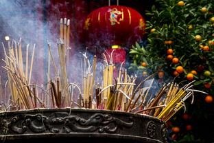 六月越南七日游:探索美食与文化,尽享超值旅程! 六月越南七日游:探索美食与文化,尽享超值旅程!